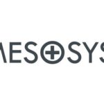Mesosys