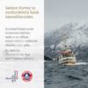 Ballstad Somon Kolajeni-8 Ballstad Somon Kolajen + Omega 3