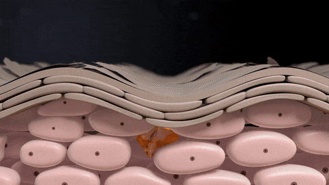 Time Reset HD Serum 50 ml - Görsel 2