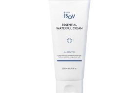 Essential Waterful Cream 120ml